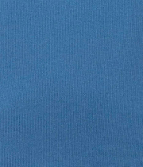 ERFOLG unisex / T-shirt basic - Moonlight blue sj