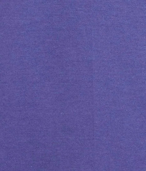 ERFOLG unisex / T-shirt basic - Glyzine (violet)
