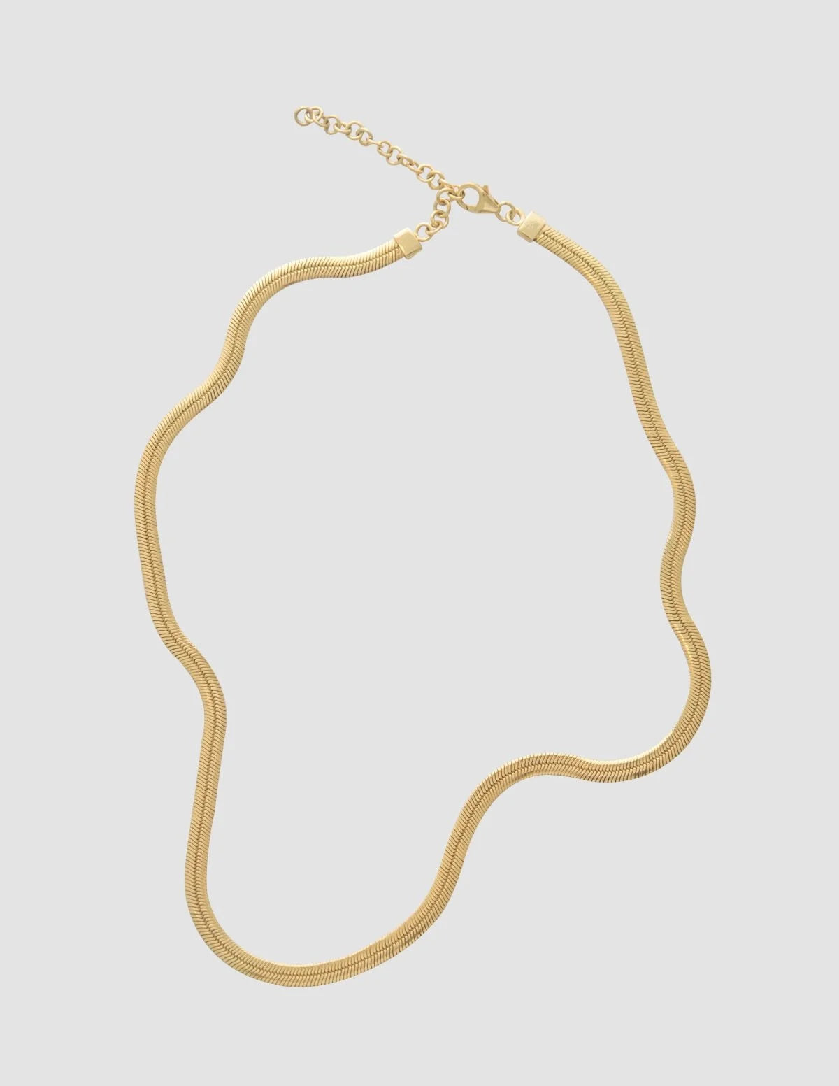 Collier Snake, or