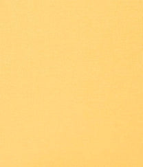 ERFOLG unisex / Basic T-shirt - Sauterne