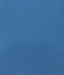 ERFOLG unisex / T-shirt basic - Moonlight blue sj