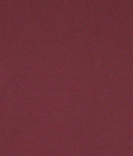 ERFOLG unisex / T-shirt basic - Vino