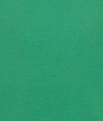 ERFOLG unisex / T-shirt basic - Verdant green