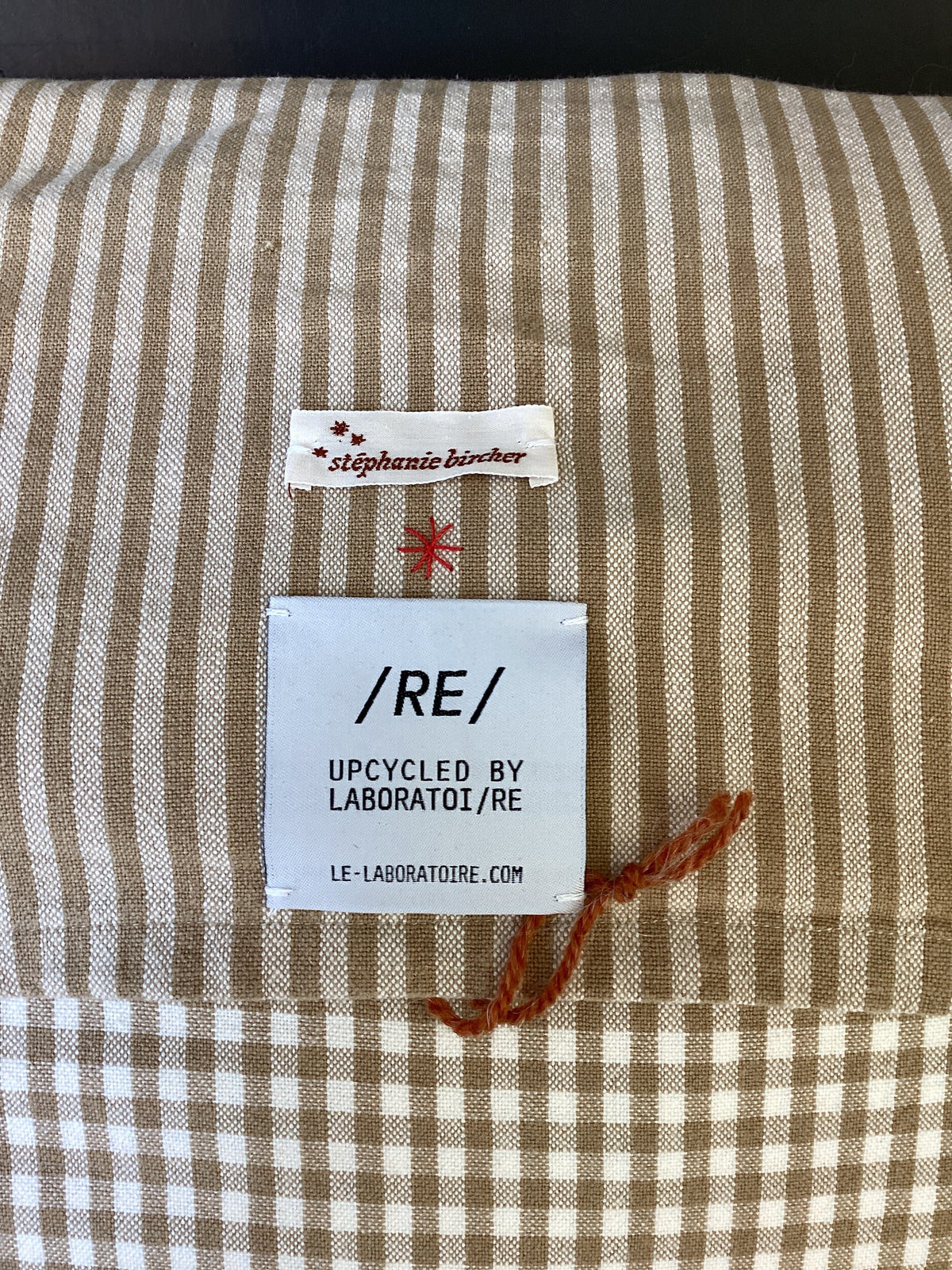 Laboratoi/RE x stéphanie bircher / grand coussin VAUDOISES - 7