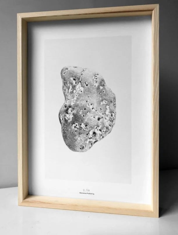 Bienvenue Studios / cadre photo en bois / &quot;Curiosity Cabinet&quot;
