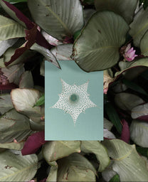 Bienvenue Studios / Set de cartes - &quot;Ephemeral Blooming&quot;