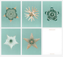 Bienvenue Studios / Set de cartes - &quot;Ephemeral Blooming&quot;
