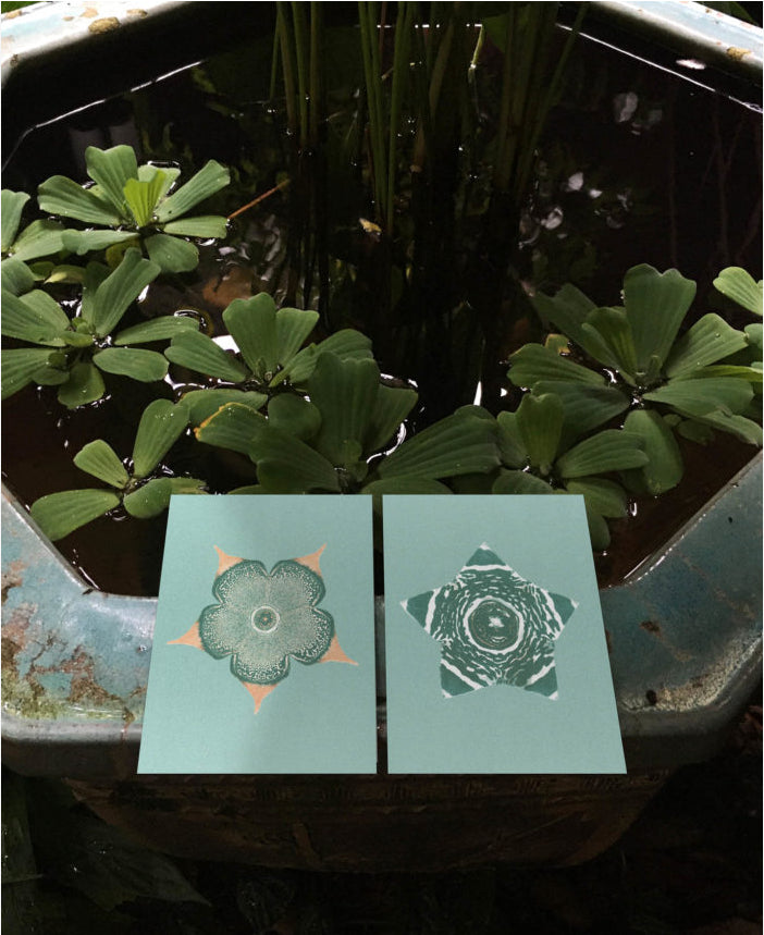 Bienvenue Studios / Set de cartes - &quot;Ephemeral Blooming&quot;
