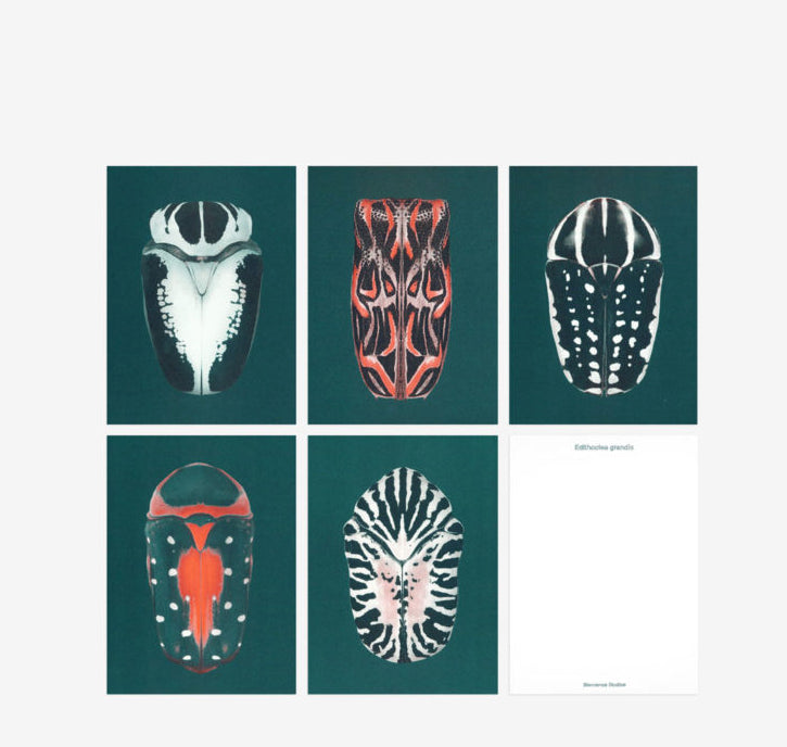 Bienvenue Studios / Set de cartes, n°9 &quot;Iridescence&quot;