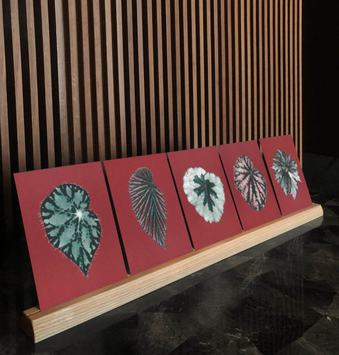 Bienvenue Studios / Set de cartes, n°12 &quot;Leaves of Friendship&quot;