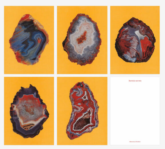 Welcome Studios / Card Set - "Mountain Treasures"