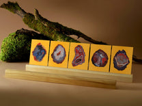 Welcome Studios / Card Set - "Mountain Treasures"