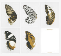 Welcome Studios / Card Set - "Sun Fluttering"