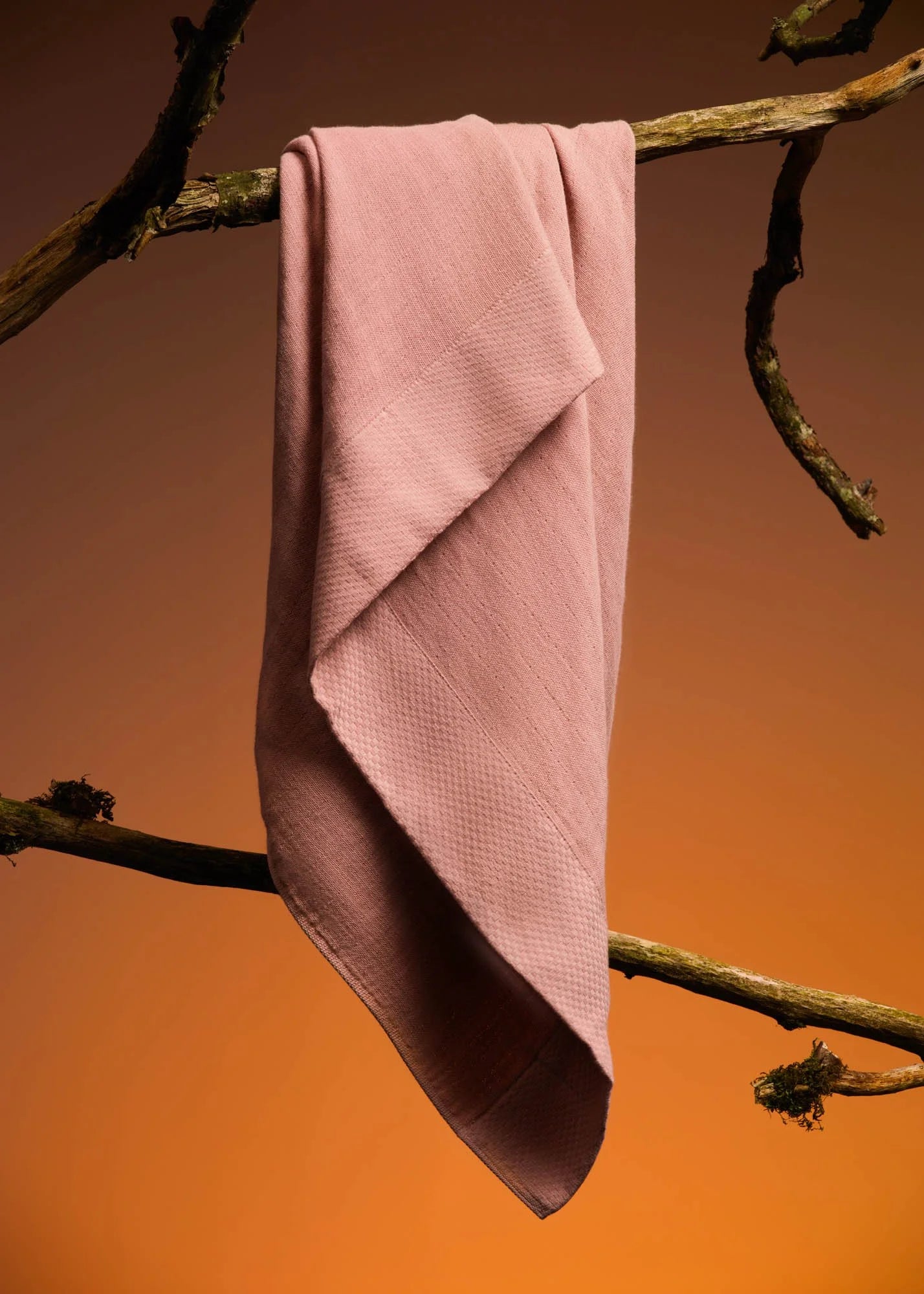 Bienvenue Studios / Grand Linge, Nude