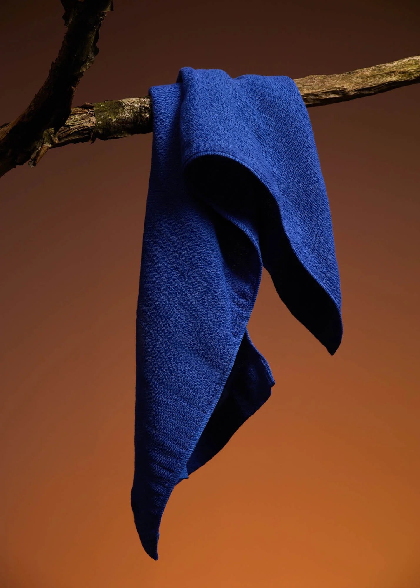 Bienvenue Studios / Petit Linge, Ocean