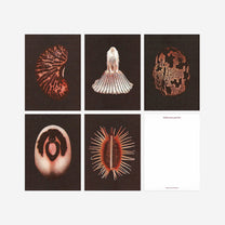 Bienvenue Studios / Set de cartes - n°5 "Origins"