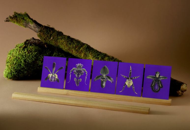 Welcome Studios / Card Set - "Moon Fluttering"