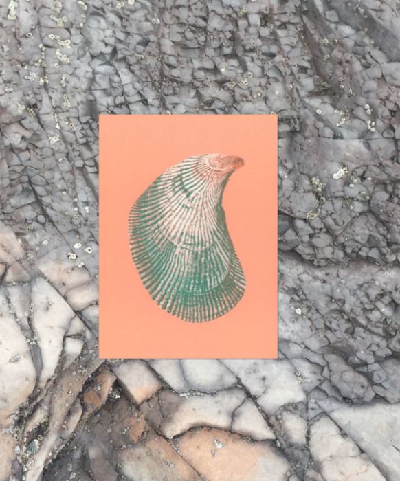 Bienvenue Studios / Set de cartes - "floral mimicry" (Copie)