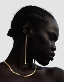 Collier Snake, or