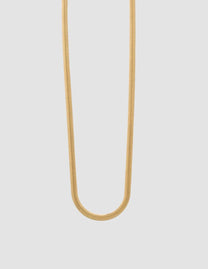 Collier Snake, or