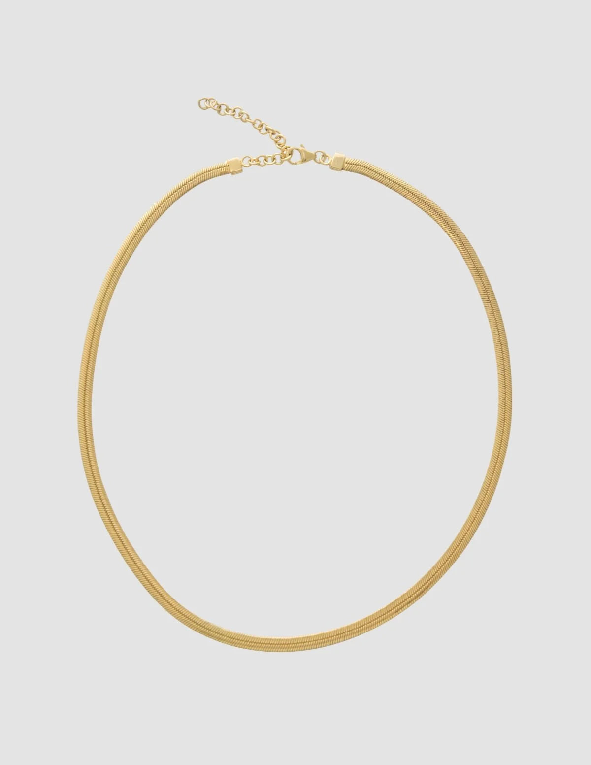 Collier Snake, or